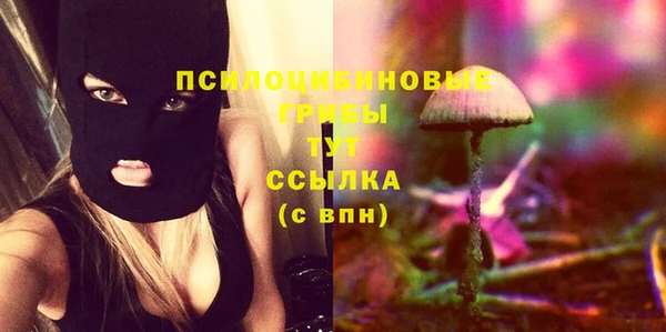 гидра Наволоки