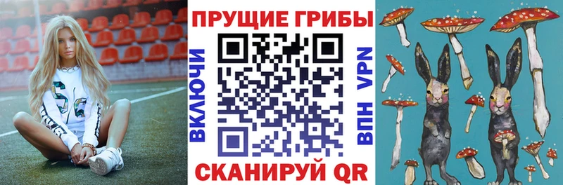 Псилоцибиновые грибы мицелий  Яхрома 